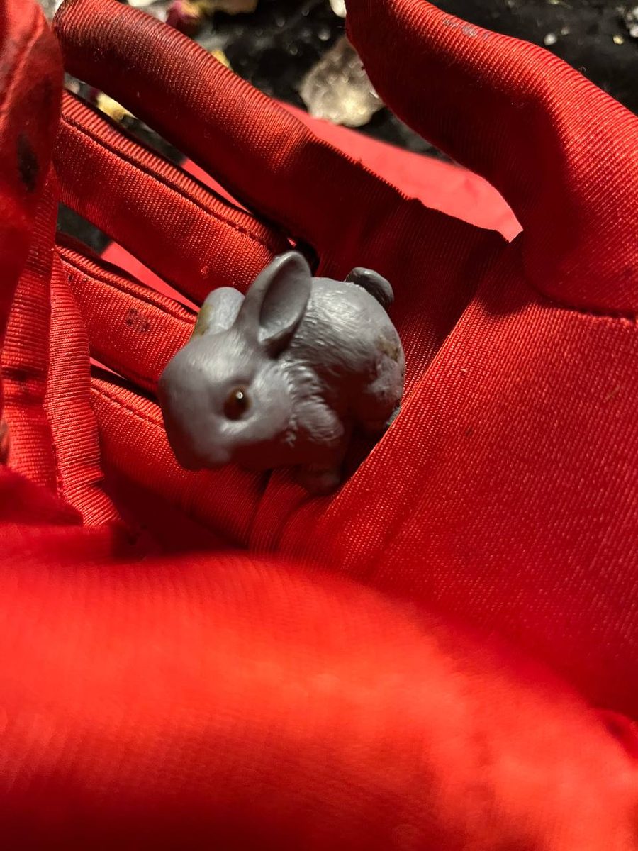 Kaninchen — Artefakt der Liebesanziehung — Foto 3 von 6